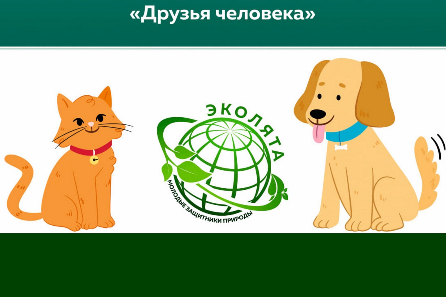 Друзья человека Друзья человека