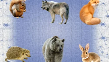 Дикие животные