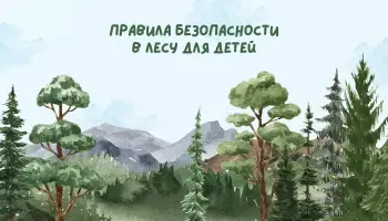 Безопасность в лесу