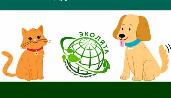 Друзья человека