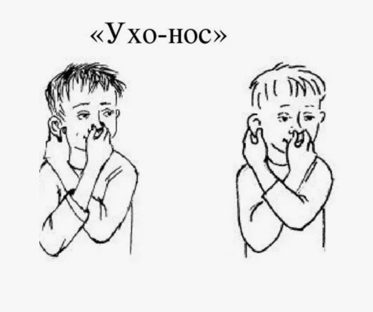 Нейрогимнастика "Нос-ухо"
