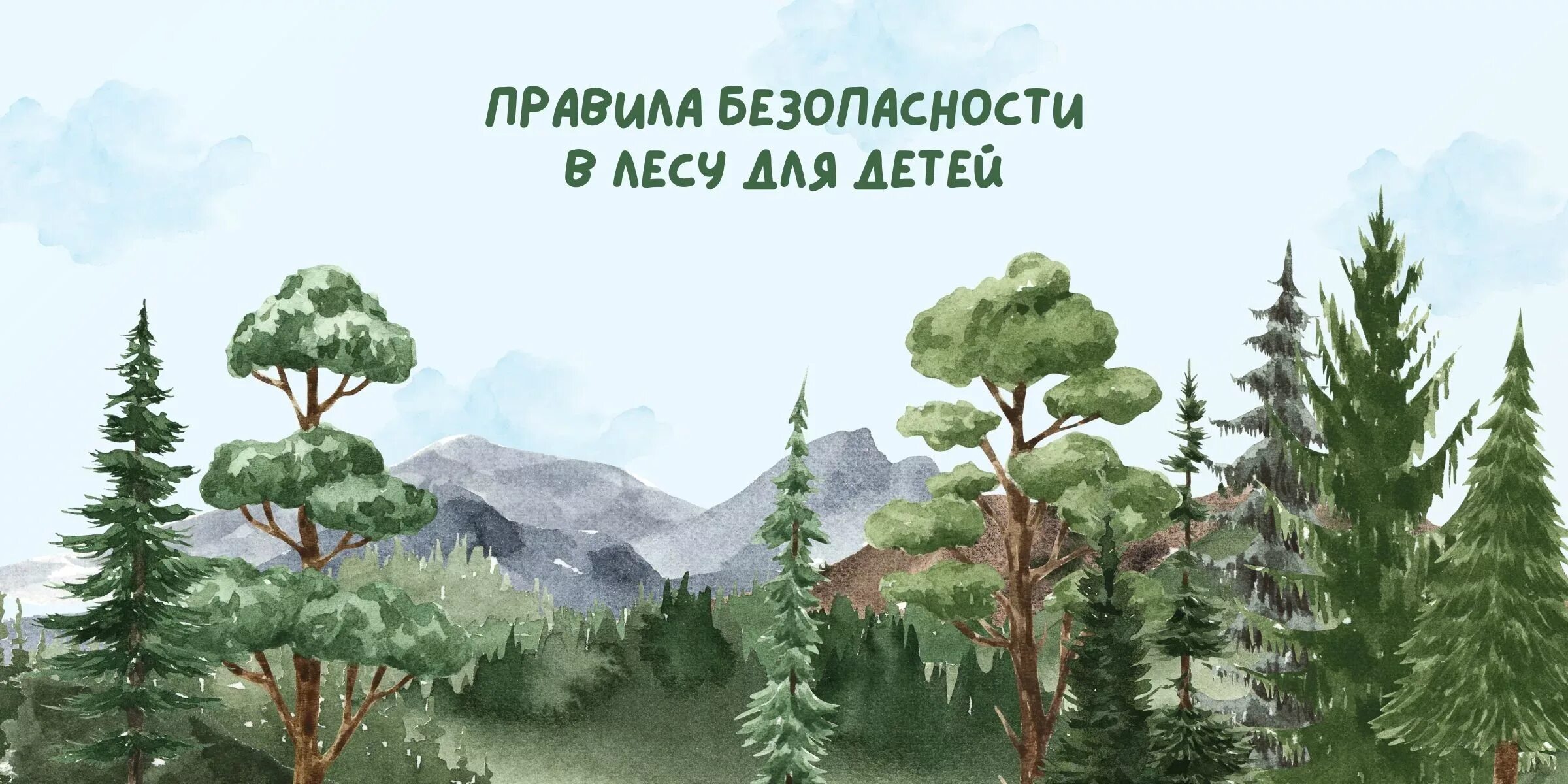 Безопасность в лесу
