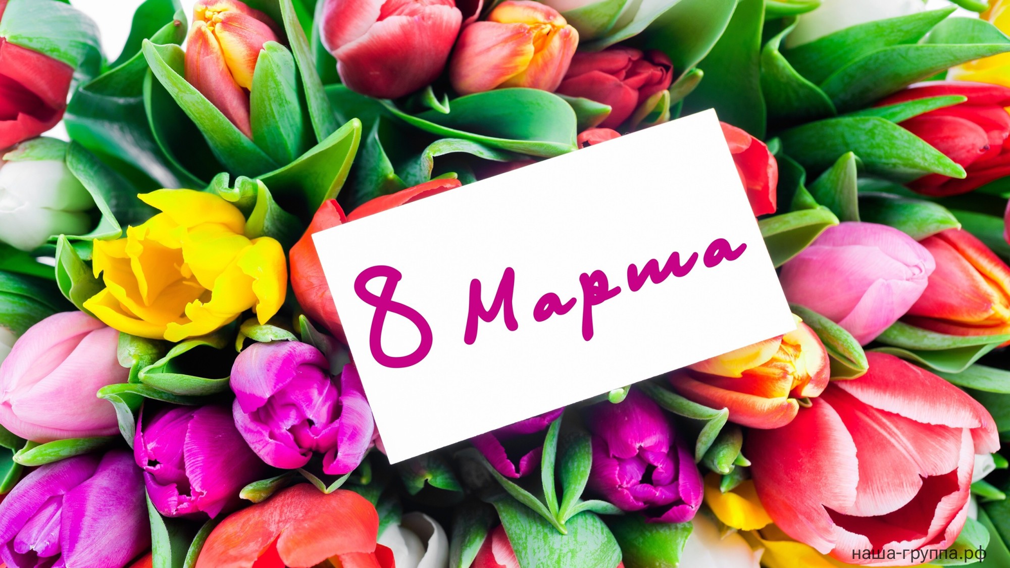 "Бабочки желаний" "Бабочки желаний"